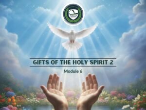 WOLIM School of Ministry Module 6 Cover.jpg